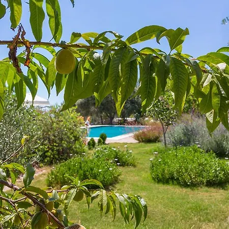 Villa Islamlar Sleeps 9 Islamlar (Aegean)